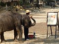 Chiang Mai P0171 Maetaman Elephant Camp